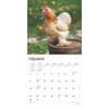 image Chickens 2025 Wall Calendar