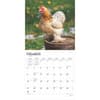 image Chickens 2025 Wall Calendar