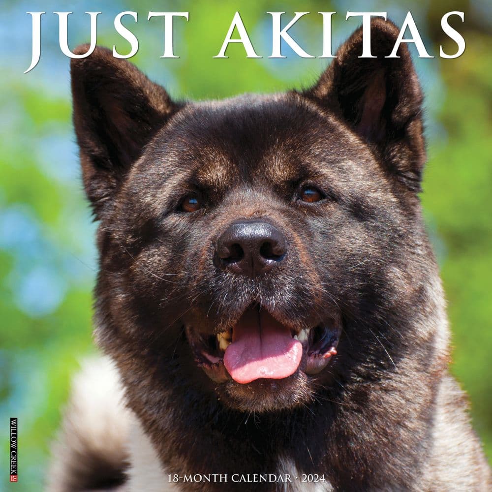 Just Akitas 2024 Wall Calendar