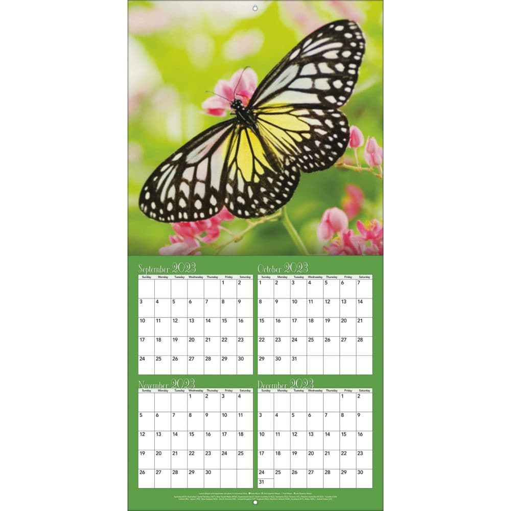 Butterflies 2024 Wall Calendar Third Alternate Image width=&quot;1000&quot; height=&quot;1000&quot;