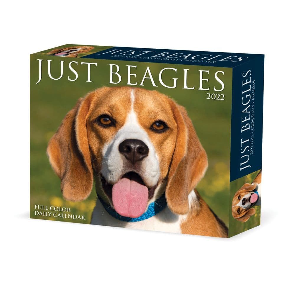 Just Beagles 2022 Desk Calendar