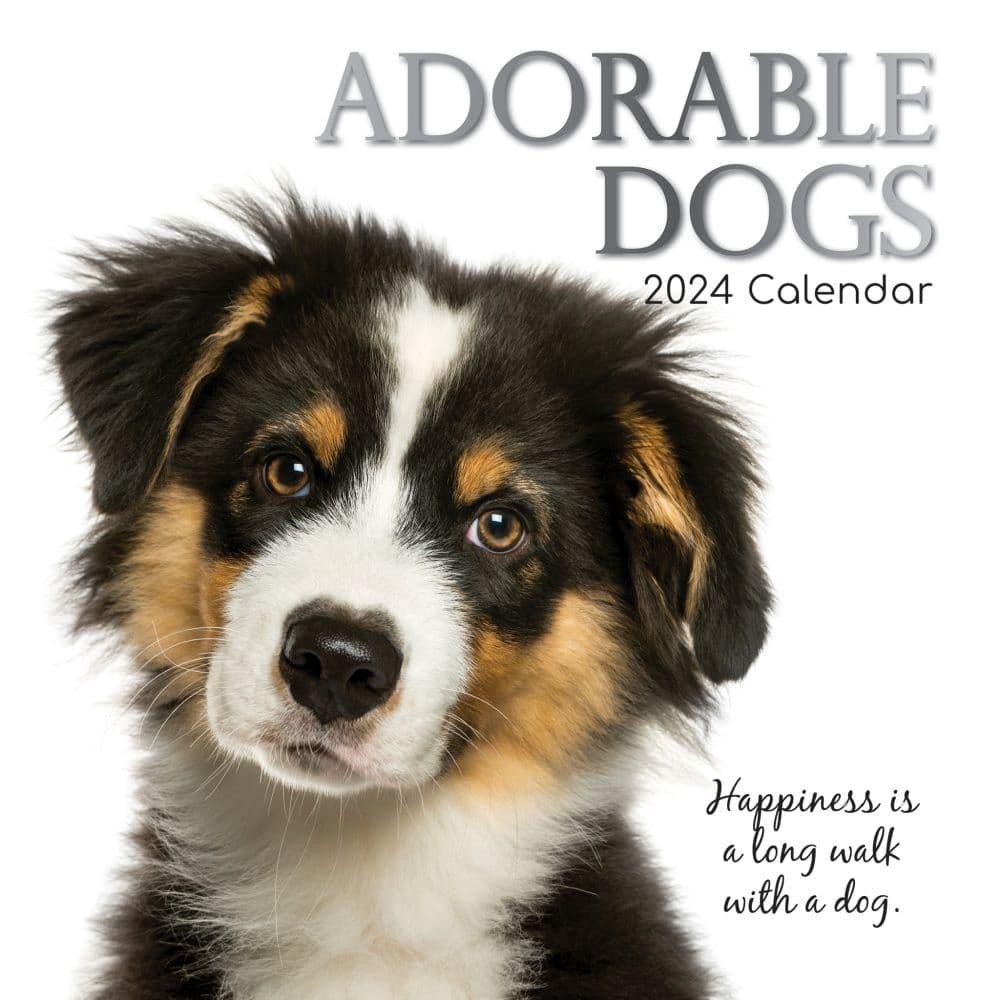 Adorable Dogs 2024 Wall Calendar