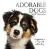 image Adorable Dogs 2024 Wall Calendar Main Product Image width=&quot;1000&quot; height=&quot;1000&quot;