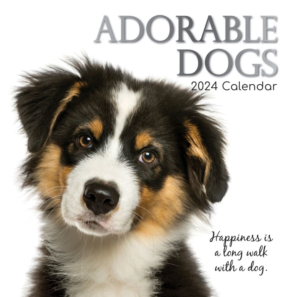 Adorable Dogs 2024 Wall Calendar Main Product Image width=&quot;1000&quot; height=&quot;1000&quot;