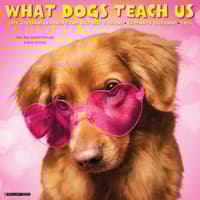 image What Dogs Teach Us 2026 Wall Calendar Main Image
