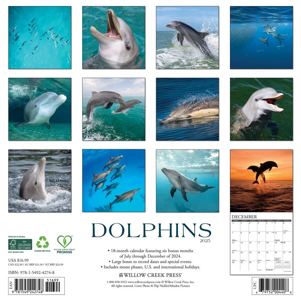 Dolphins 2025 Wall Calendar First Alternate Image width=&quot;1000&quot; height=&quot;1000&quot;