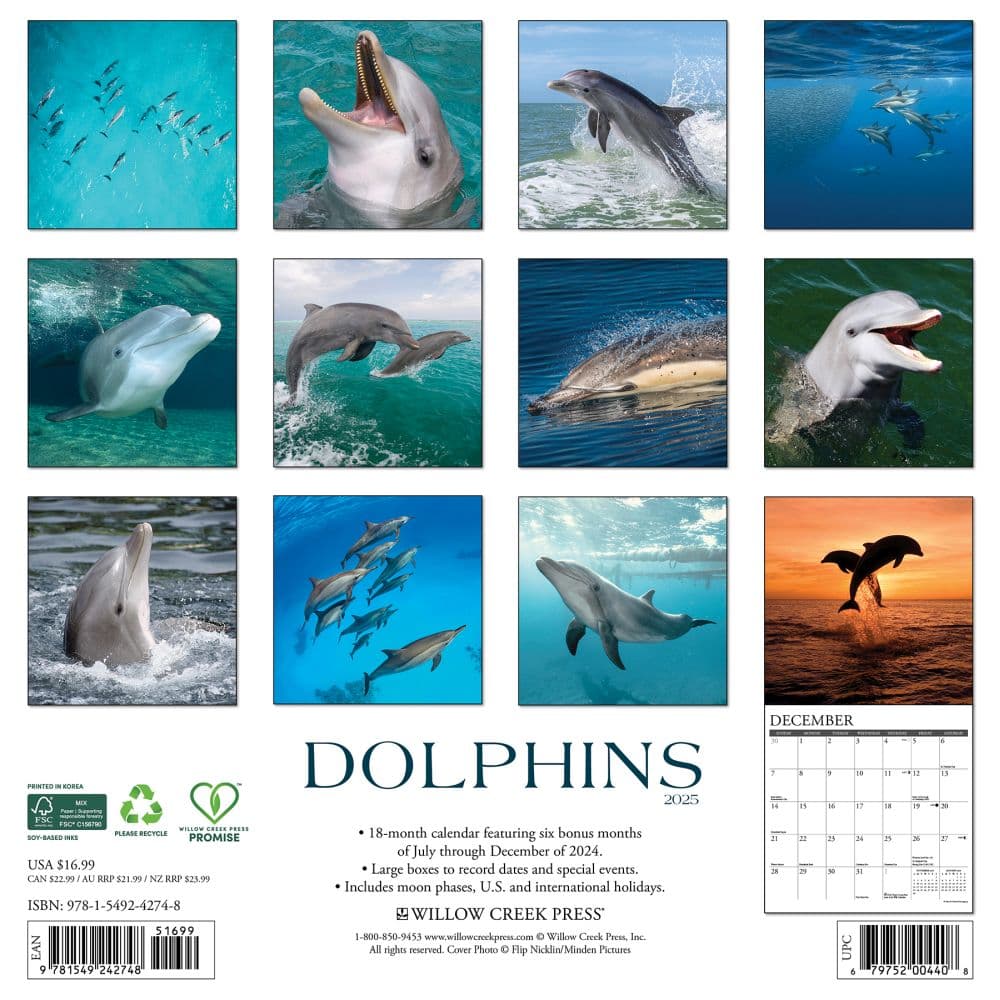 Dolphins 2025 Wall Calendar