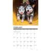 image Just Australian Cattle Dogs 2025 Wall Calendar