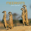 image Meerkats 2025 Wall Calendar Main Product Image width=&quot;1000&quot; height=&quot;1000&quot;