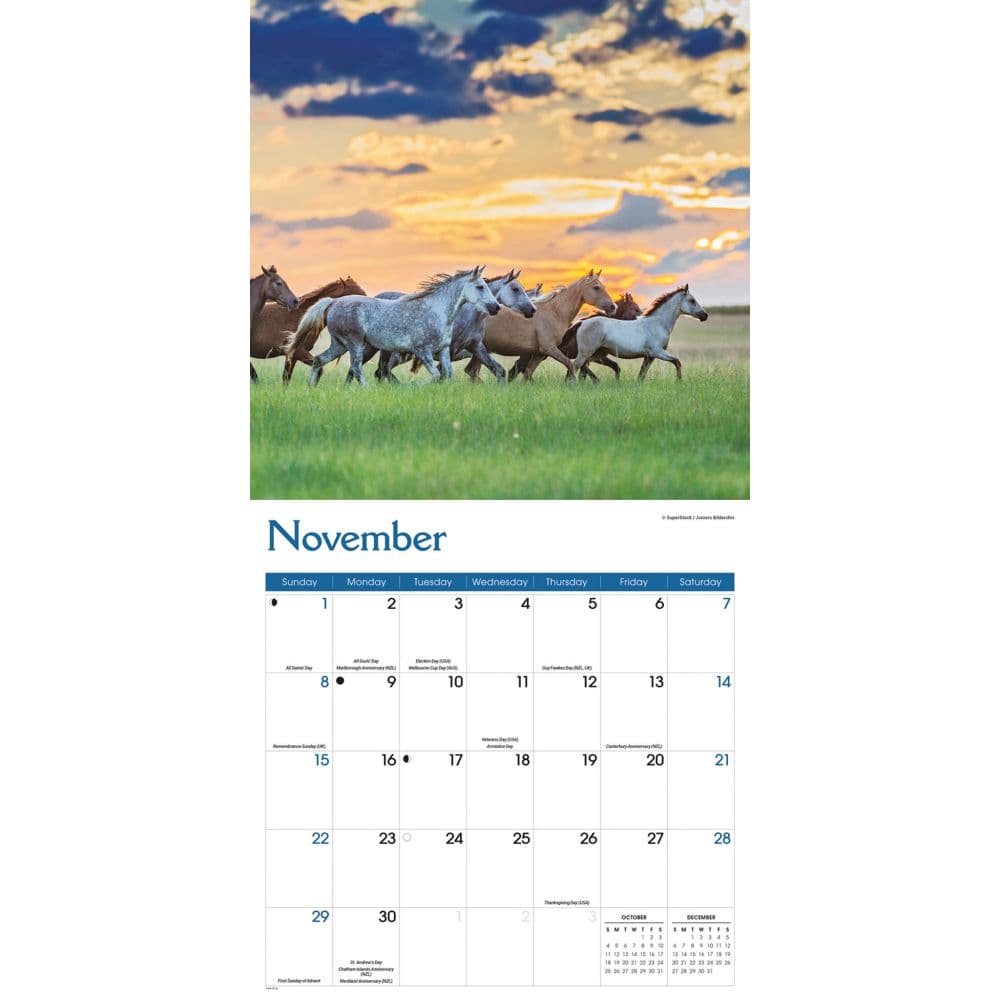 Wild Horses 2026 Wall Calendar Fourth Alternate Image