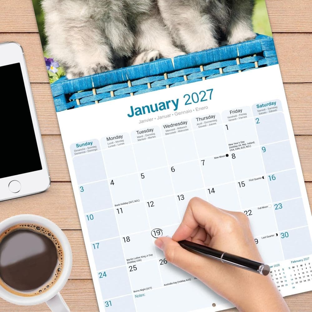 Keeshond 2027 Wall Calendar Fourth Alternate Image