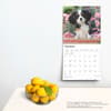 image Puppies 2025 Wall Calendar Fourth Alternate Image