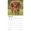 image Cavalier King Charles 2025 Wall Calendar