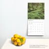 image Great Smokies 2025 Wall Calendar