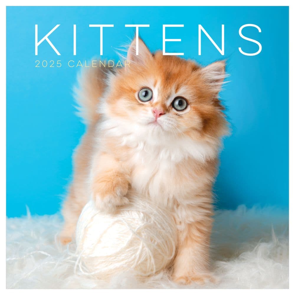 Kittens 2025 Wall Calendar