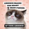 image Grumpy Cat 2026 Wall Calendar Fourth Alternate Image
