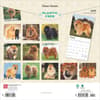 image Chow Chows 2025 Wall Calendar