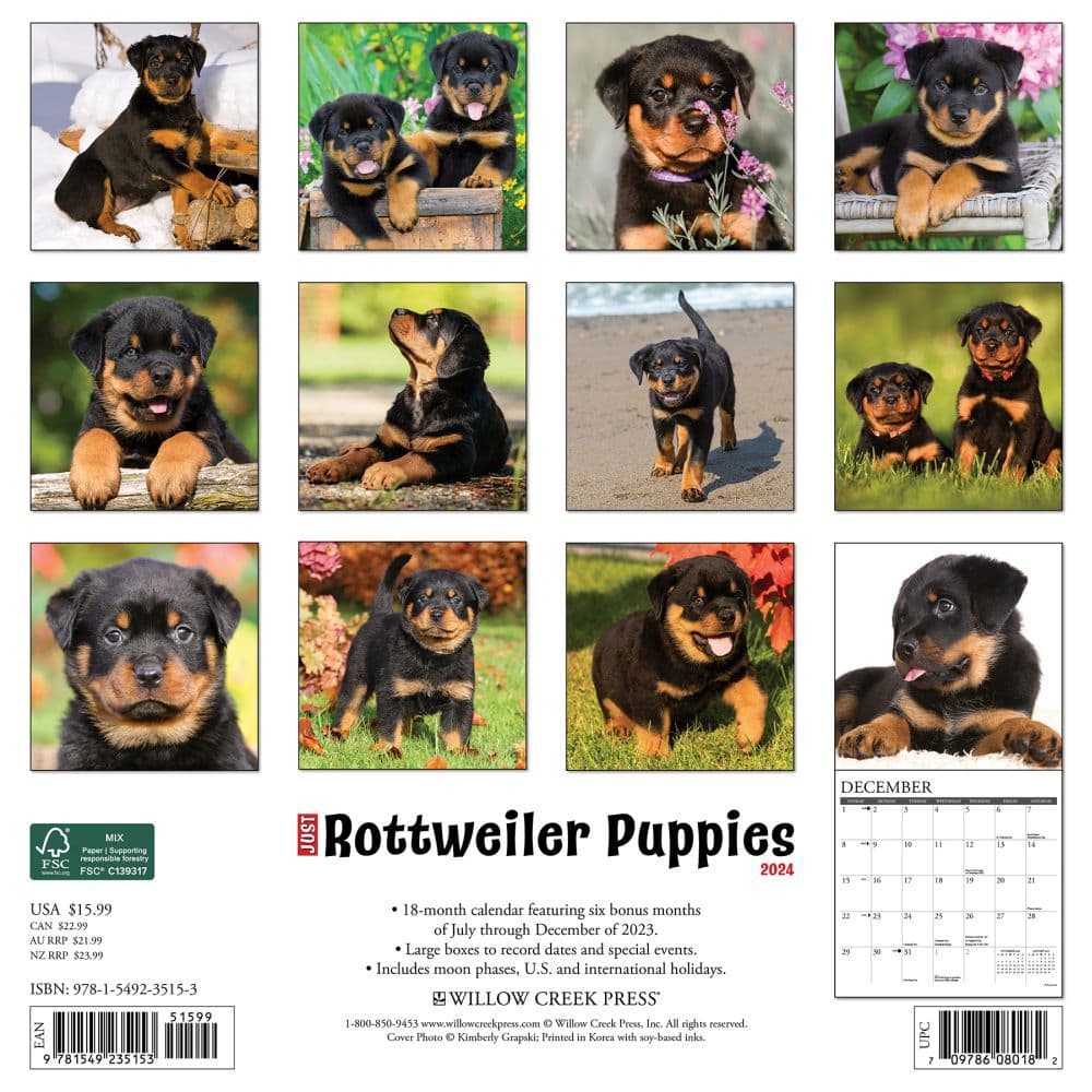 Just Rottweiler Puppies 2024 Wall Calendar