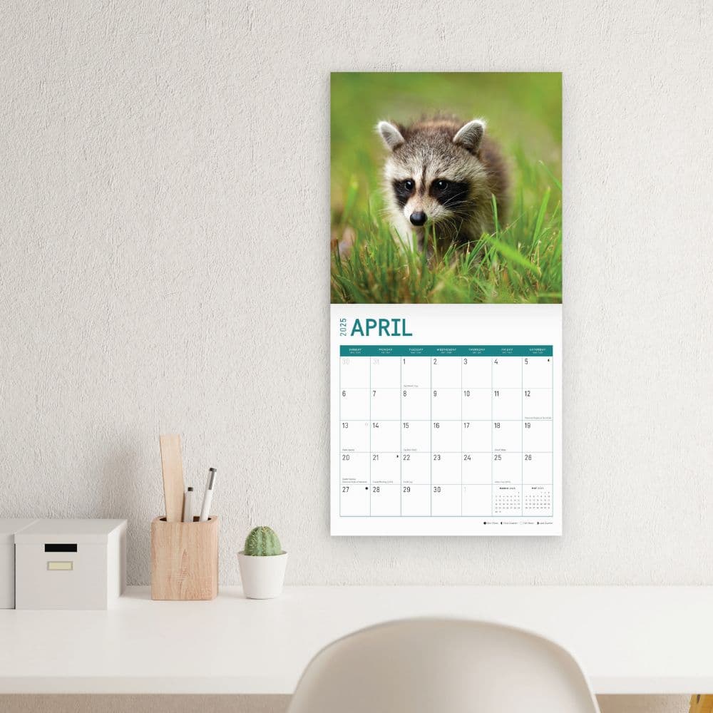 Baby Raccoons 2025 Wall Calendar Third Alternate Image width="1000" height="1000"