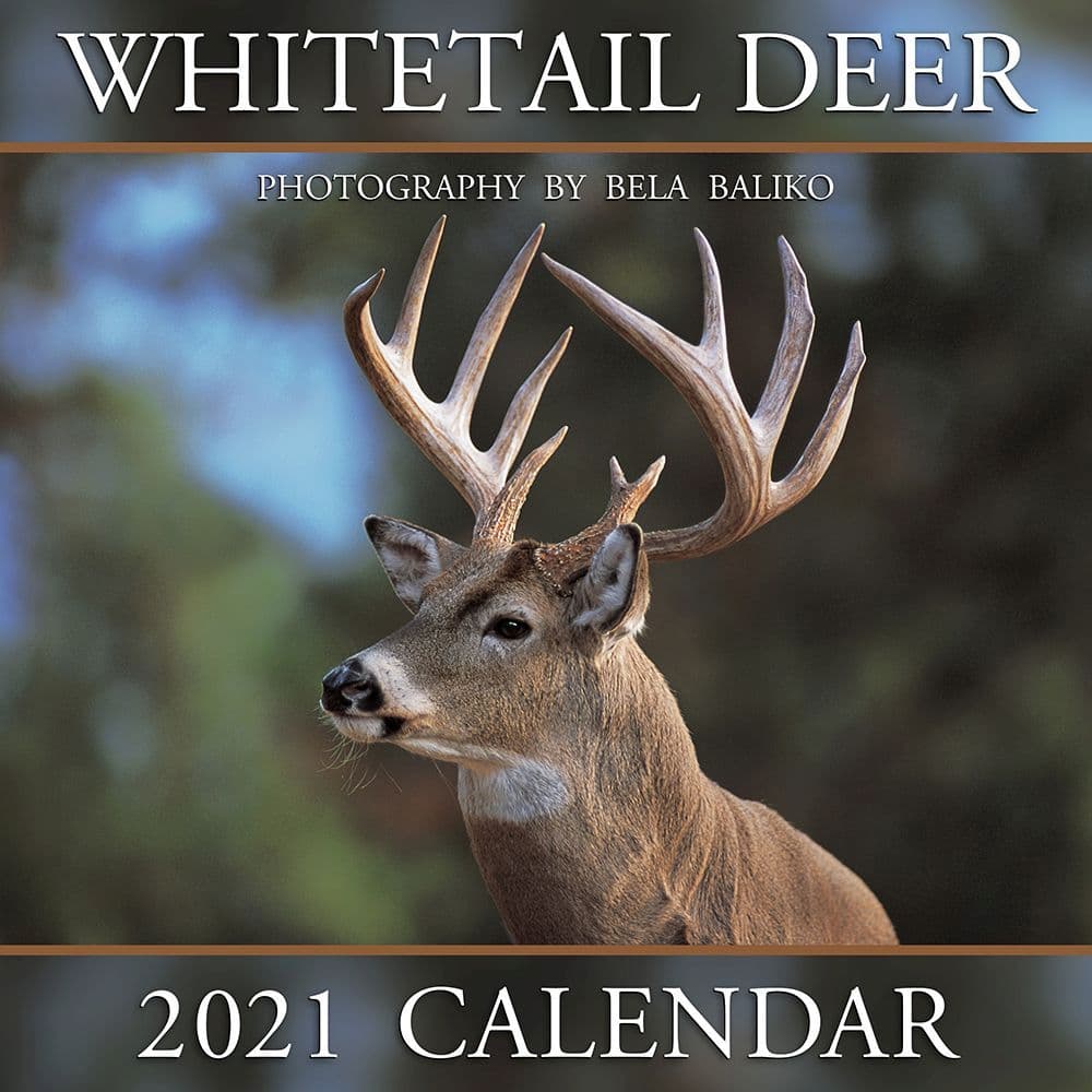 Whitetail Deer Wall Calendar - Calendars.com