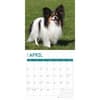 image Papillons 2025 Wall Calendar Second Alternate Image