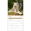 image Wolves 2025 Mini Wall Calendar Third Alternate Image width="1000" height="1000"