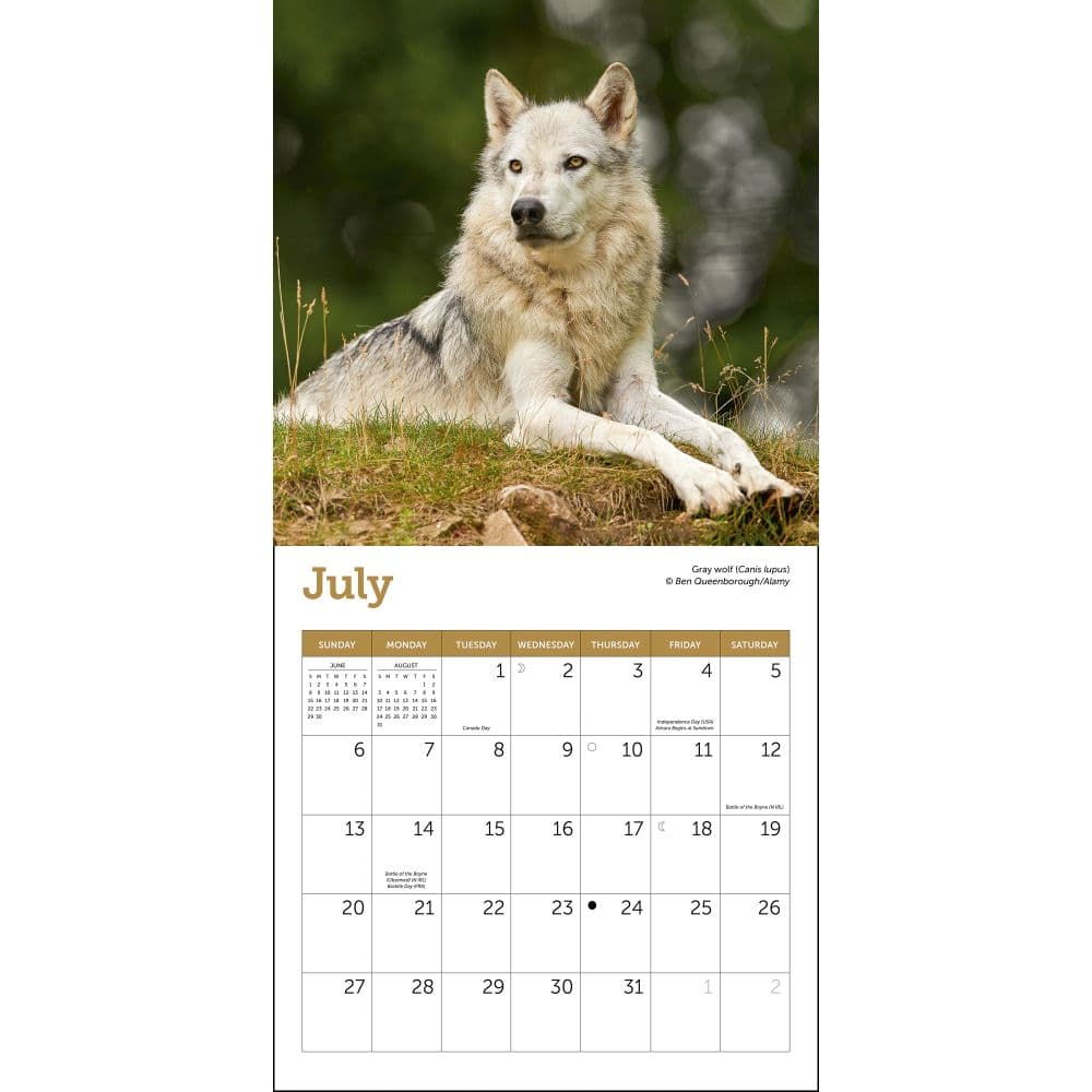 Wolves 2025 Mini Wall Calendar