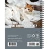image Cat Astrophe 2026 Engagement Planner First Alternate Image