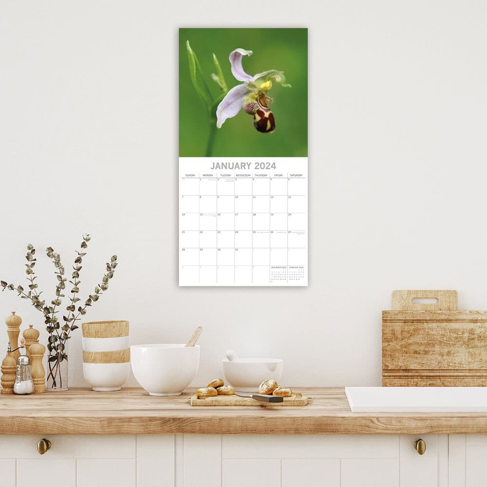 Orchids 2024 Wall Calendar Fourth Alternate Image width=&quot;1000&quot; height=&quot;1000&quot;