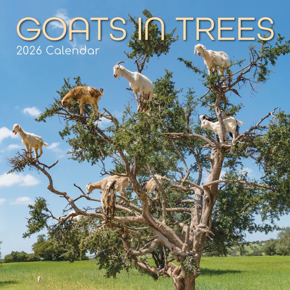 Goats in Trees 2026 Wall Calendar Main Image