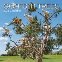 image Goats in Trees 2026 Wall Calendar Main Image