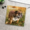 image Bulldogs 2025 Wall Calendar Fourth Alternate Image