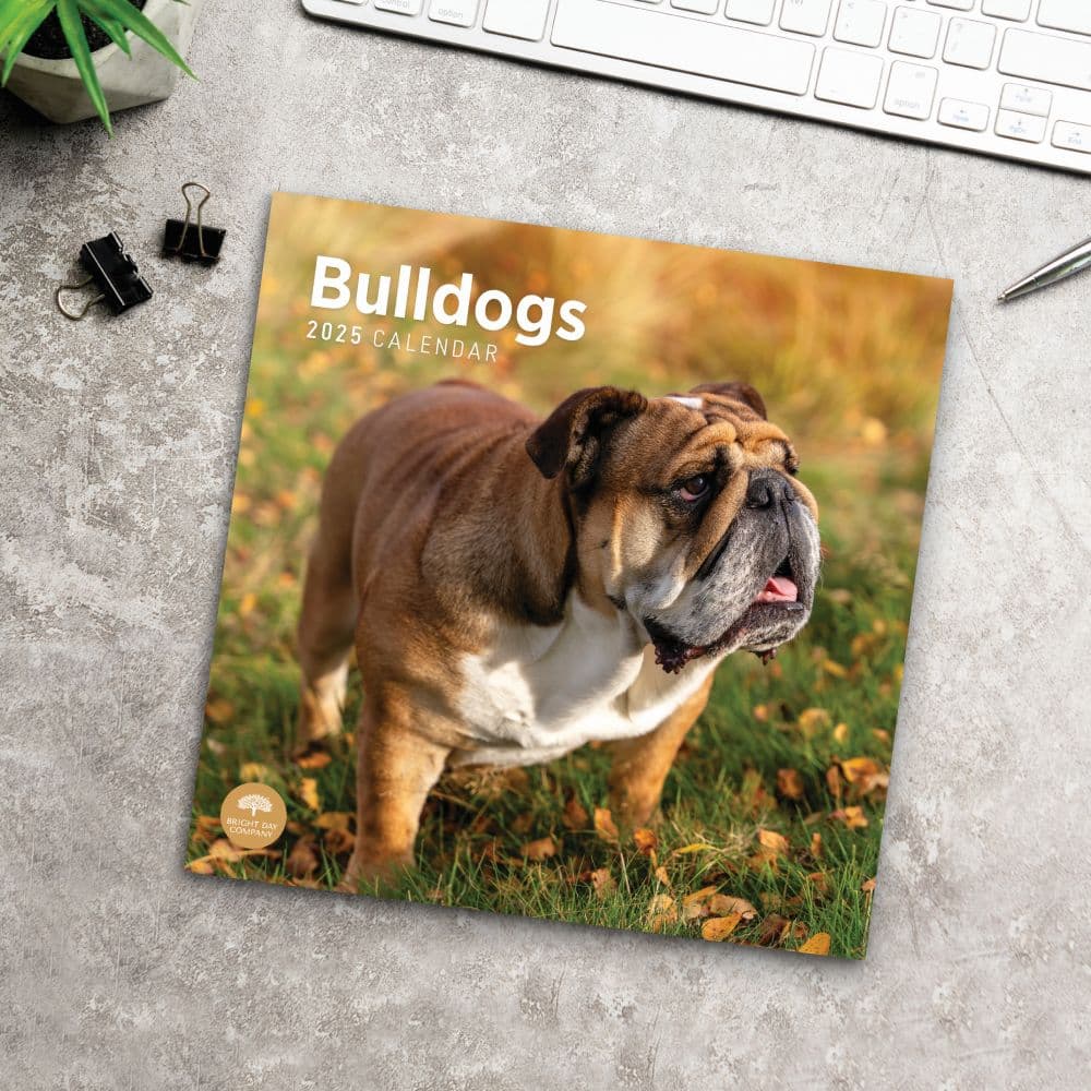 Bulldogs 2025 Wall Calendar Fourth Alternate Image