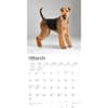 image Airedale Terriers 2024 Wall Calendar Second Alternate Image width=&quot;1000&quot; height=&quot;1000&quot;