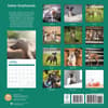 image Italian Greyhounds 2025 Wall Calendar First Alternate Image width=&quot;1000&quot; height=&quot;1000&quot;