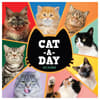 image Cat A Day 2025 Wall Calendar Main Product Image width=&quot;1000&quot; height=&quot;1000&quot;