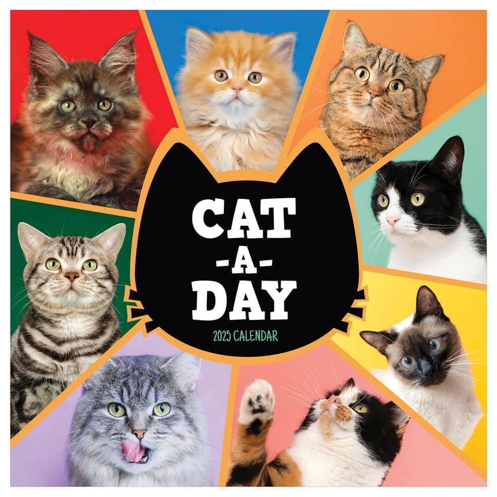 Cat A Day 2025 Wall Calendar Main Product Image width=&quot;1000&quot; height=&quot;1000&quot;