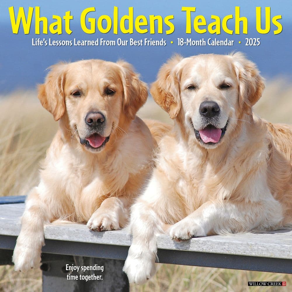 What Goldens Teach Us 2025 Wall Calendar Main Image