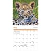 image Baby Animals 2025 Mini Wall Calendar Second Alternate Image width=&quot;1000&quot; height=&quot;1000&quot;