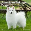 image American Eskimo Dogs 2024 Wall Calendar Main Product Image width=&quot;1000&quot; height=&quot;1000&quot;