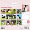 image Border Collies 2026 Wall Calendar First Alternate Image