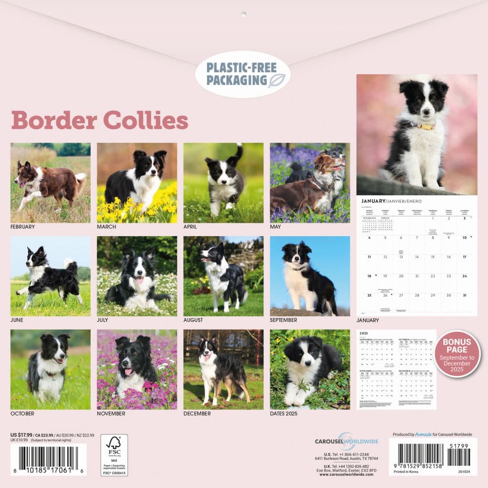 Border Collies 2026 Wall Calendar First Alternate Image