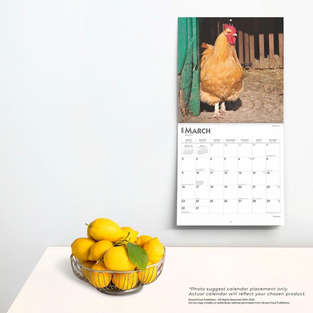 Roosters 2025 Wall Calendar Fourth Alternate Image