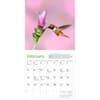 image Audubon Hummingbirds and Beyond 2026 Wall Calendar Second alternate Image