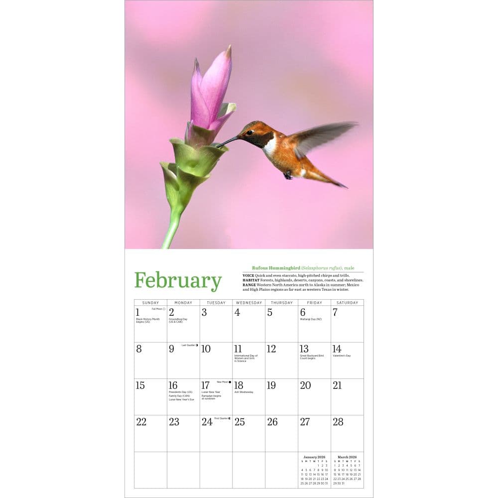 Audubon Hummingbirds and Beyond 2026 Wall Calendar Second alternate Image
