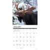 image Just Moose 2026 Wall Calendar Second Alternate Image