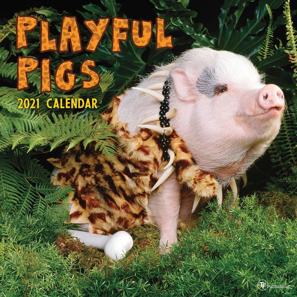 Playful Pigs Wall Calendar