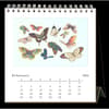 image Butterflies 2024 Easel Desk Calendar Second Alternate Image width=&quot;1000&quot; height=&quot;1000&quot;