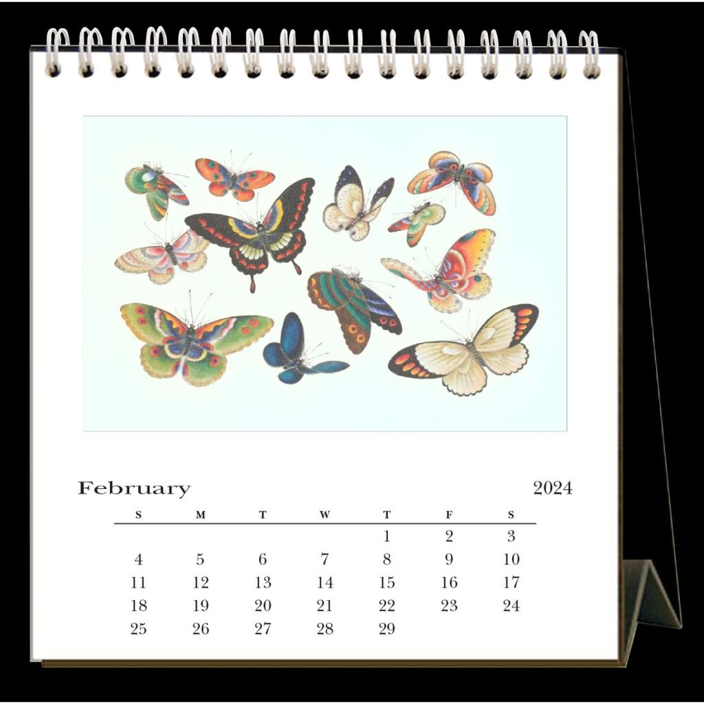 Butterflies 2024 Easel Desk Calendar Second Alternate Image width=&quot;1000&quot; height=&quot;1000&quot;