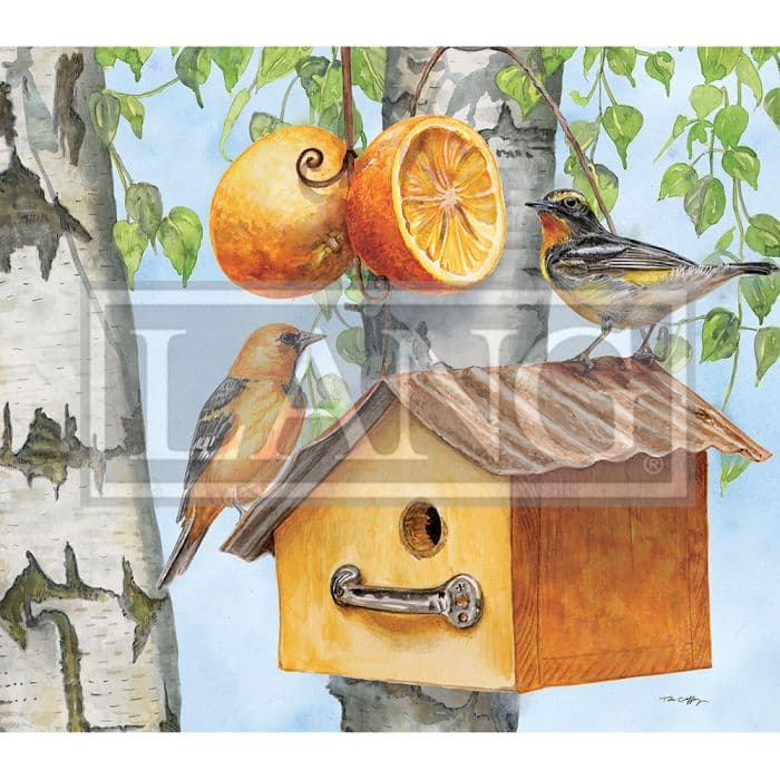 image Birdhouses 2024 Desktop Wallpaper
